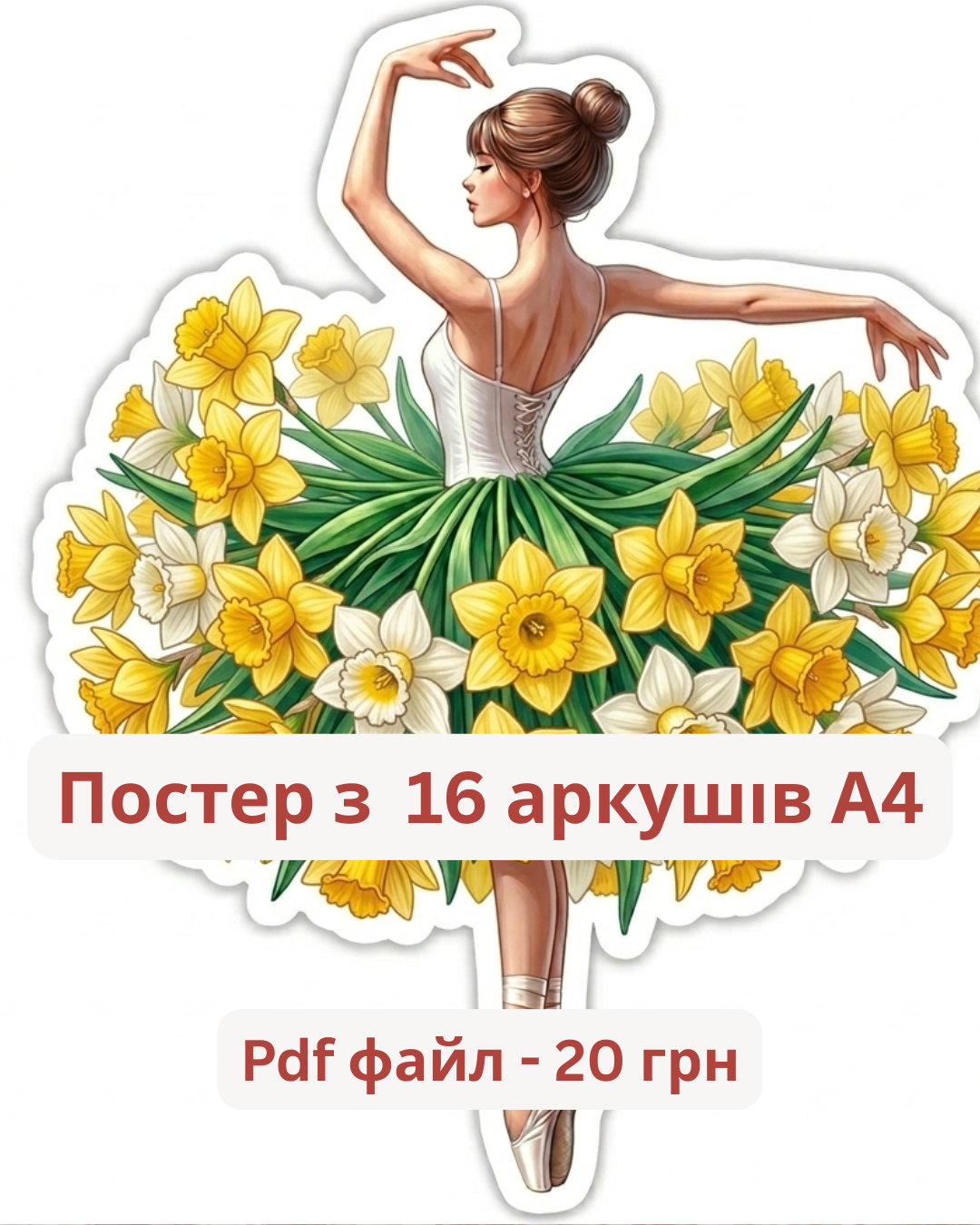 Балерина нарцис